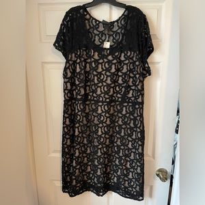 Black lace dress with tan sweetheart lining from Lane Bryant, size 26.